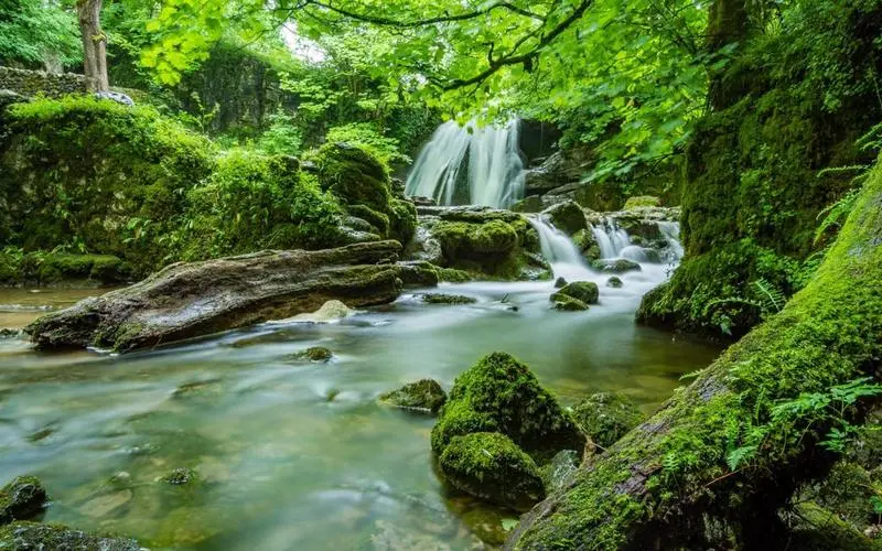 高标准科技高端